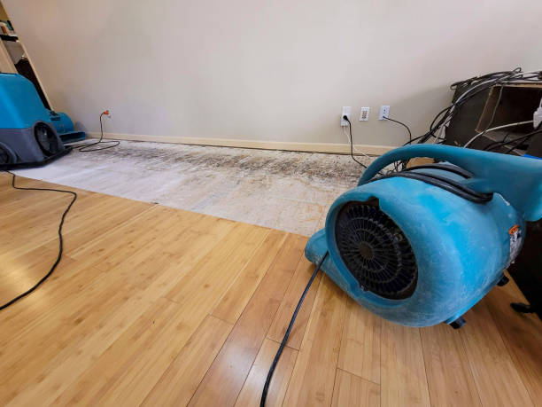 Professional Water Removal technician working in Taylor, TX